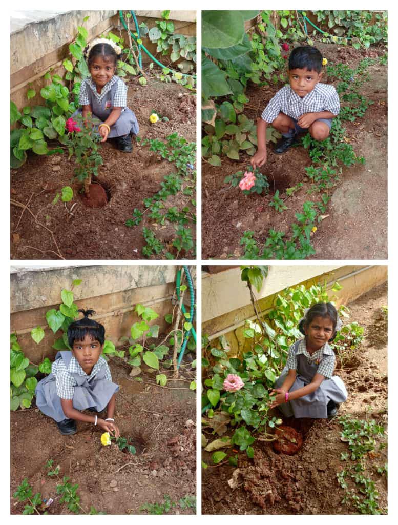 Gardening